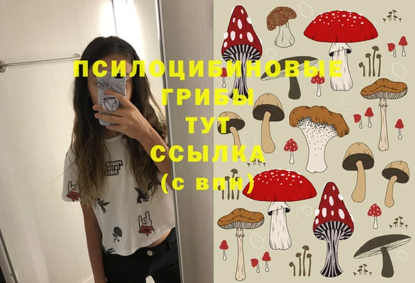 бошки Белоозёрский