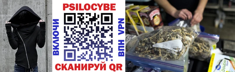 продажа наркотиков  Грозный  мега ссылки  Галлюциногенные грибы мицелий 