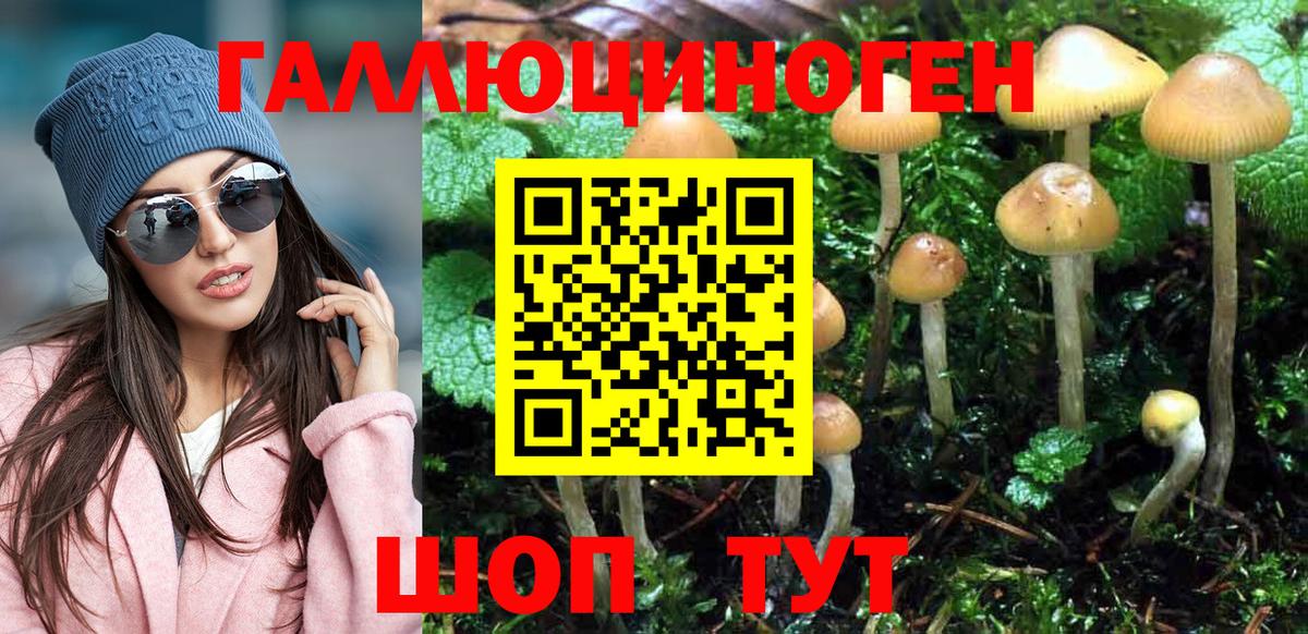Псилоцибиновые грибы Magic Shrooms  Псилоцибиновые грибы MAGIC MUSHROOMS  где купить наркоту  Вход с VPN  Грозный 