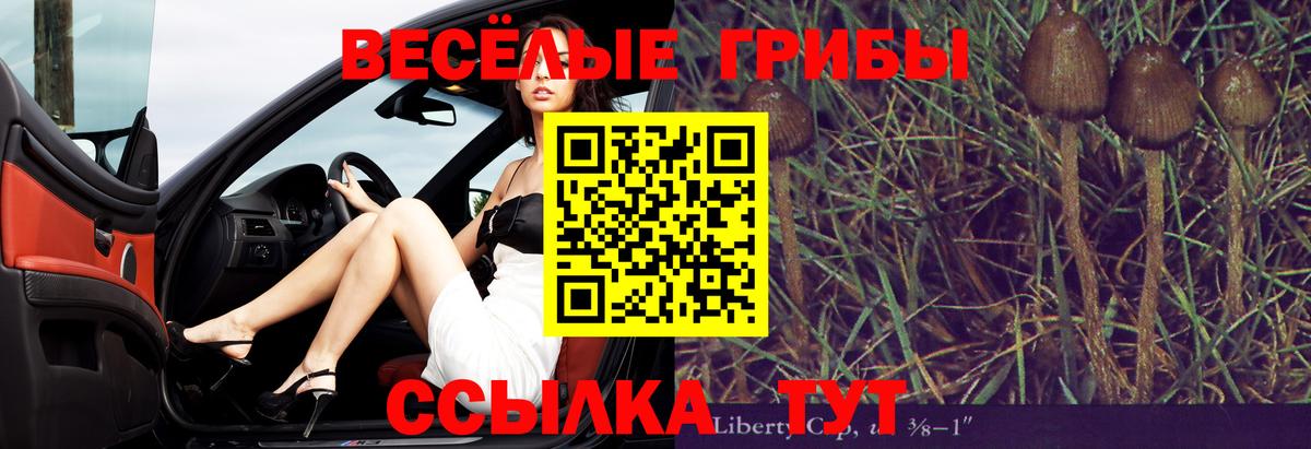 Галлюциногенные грибы MAGIC MUSHROOMS  Грозный  цена   Псилоцибиновые грибы ЛСД 