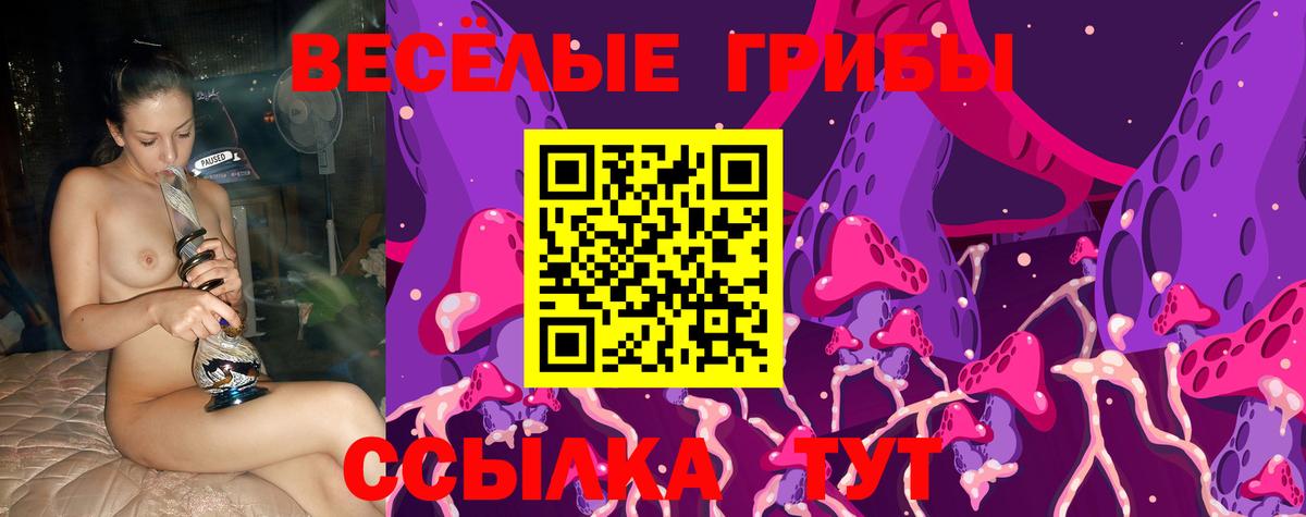 Псилоцибиновые грибы мицелий Грозный