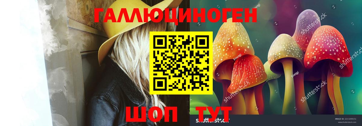 Alpha PVP Грозный