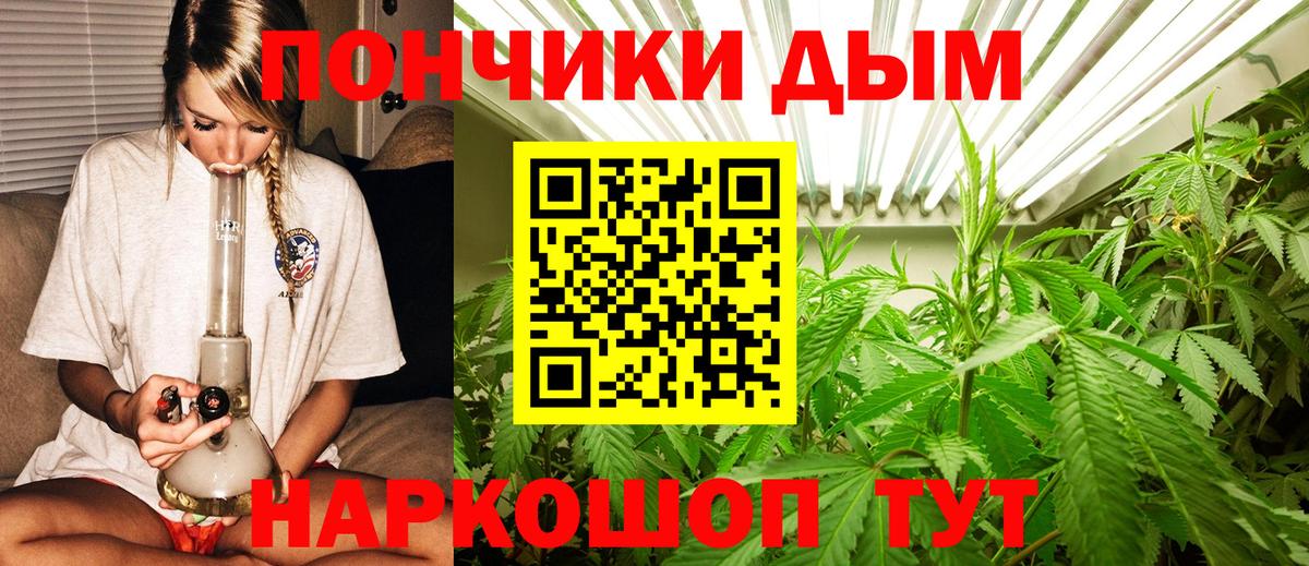 Шишки марихуана планчик Грозный